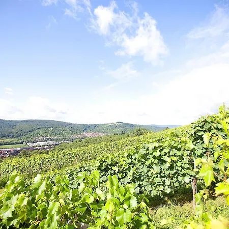 酒店 Restaurant Lamm Hebsack 3*