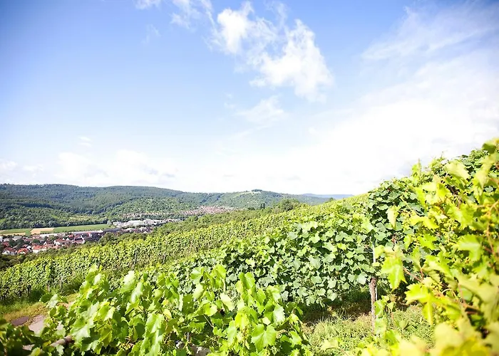 Hotel Restaurant Lamm Hebsack 3*